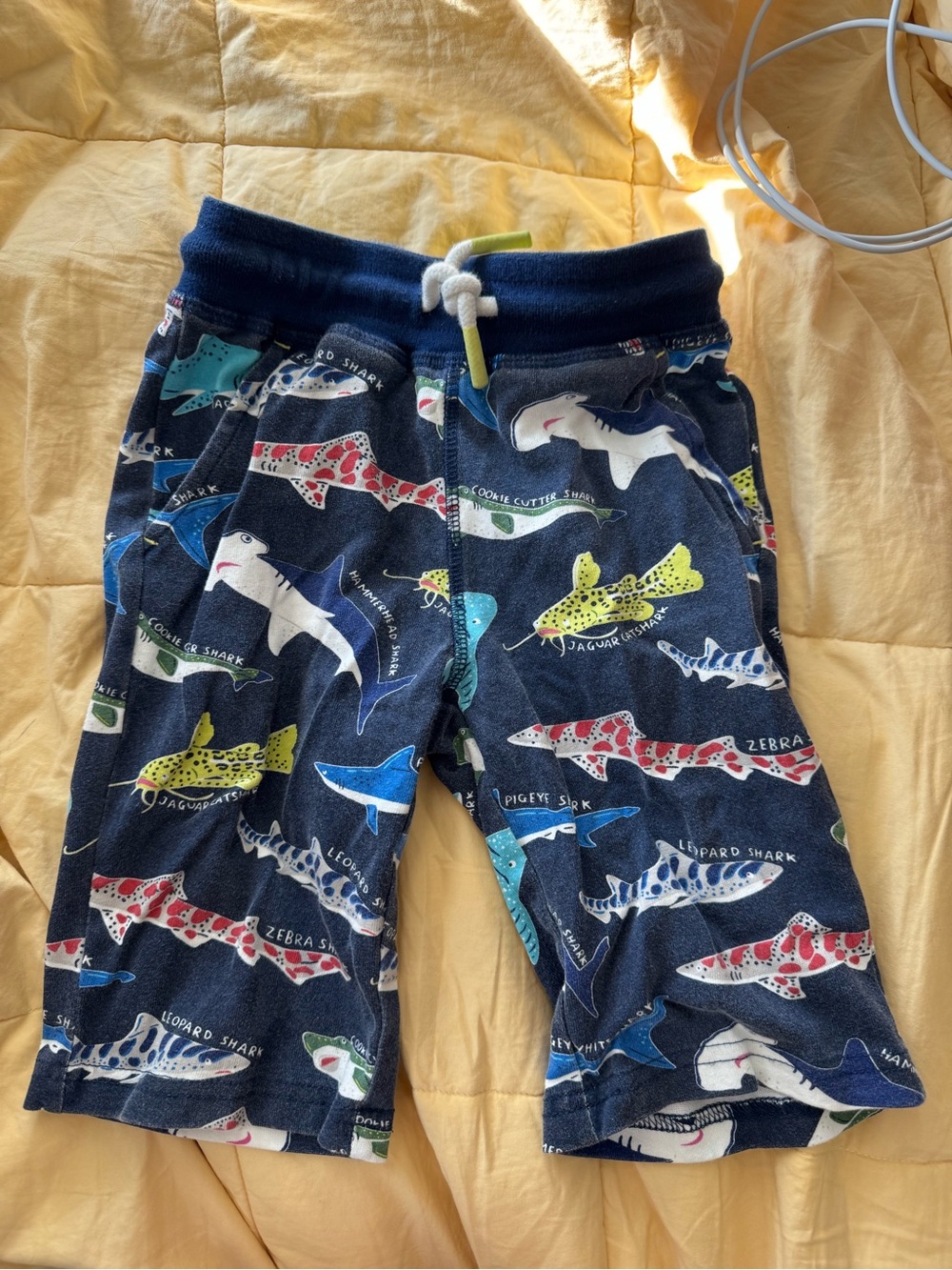 mini boden shark shorts 4/5